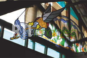 Ezmu Glass Gallery