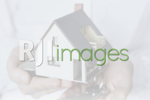 Insentif Pemerintah Untuk Bisnis Properti PROGRAM BEBAS PPN dan DP 0 % Insentif Pemerintah Untuk Bisnis Properti PROGRAM BEBAS PPN dan DP 0 %