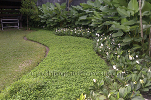Taman tropis