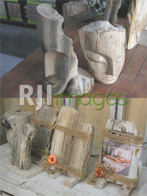 Wood Stone dan Batu Fosil Wood Stone