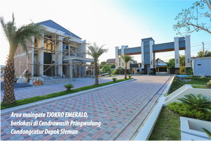 Area Mangate Tjokro Emerald tjokro emerald