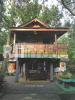 Rumah panggung bergaya tropis